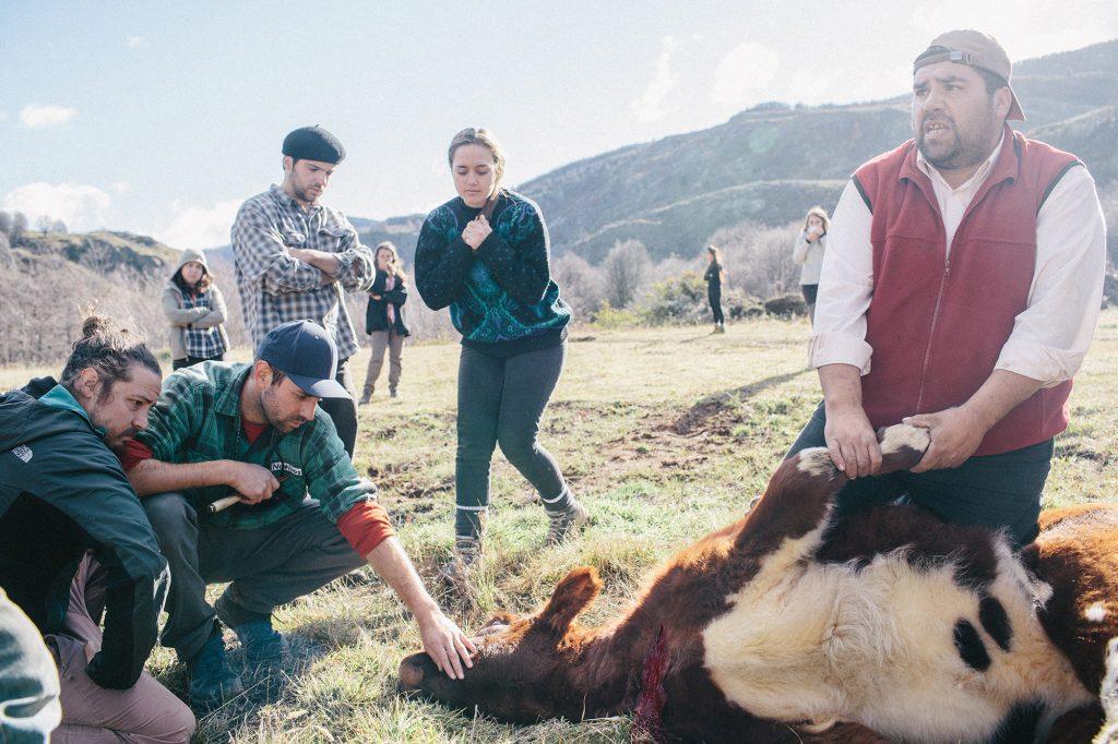 Jóvenes observan a un baqueano durante una faena en Parque Escuela Kaikén