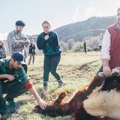 Jóvenes observan a un baqueano durante una faena en Parque Escuela Kaikén